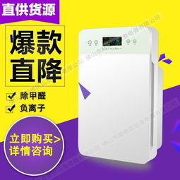 果蔬解毒机 会销礼品家用空气净化器 负离子净化器