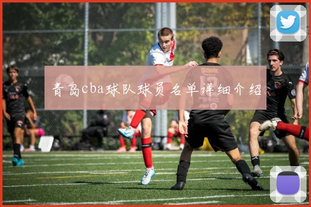 青岛cba球队球员名单详细介绍